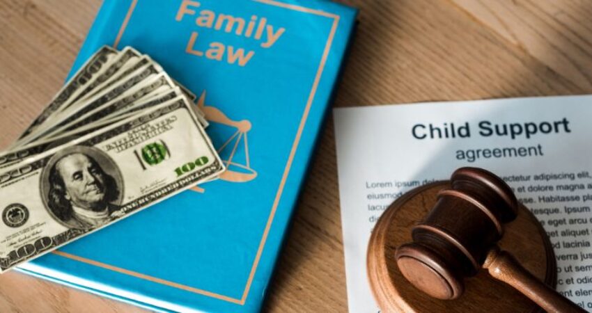 A photo shows how legal actions help child support fraud.